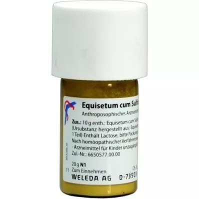 EQUISETUM CUM Soufre tostum D 6 Trituration, 20 g