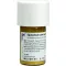 EQUISETUM CUM Soufre tostum D 6 Trituration, 20 g
