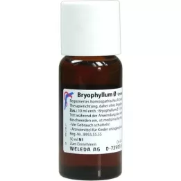 BRYOPHYLLUM Teinture mère, 50 ml