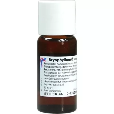 BRYOPHYLLUM Teinture mère, 50 ml