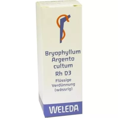 BRYOPHYLLUM ARGENTO cultum Rh D 3 Dilution, 20 ml BRYOPHYLLUM ARGENTO cultum Rh D 3 Dilution, 20 ml