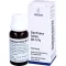 GENTIANA LUTEA RH Mélange de jus pressé 5%, 20 ml