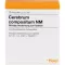 CEREBRUM COMPOSITUM NM Ampoules, 10 pc