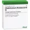 CHELIDONIUM-HOMACCORD N ampoules, 10 pc