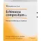 ECHINACEA COMPOSITUM SN Ampoules, 10 pc