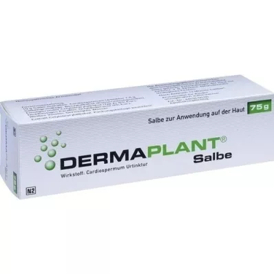 DERMAPLANT Pommade, 75 g