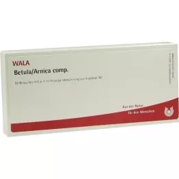 BETULA/ARNICA comp. ampoules, 10X1 ml