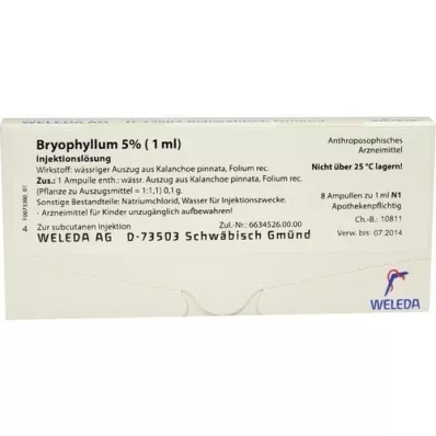 BRYOPHYLLUM 5% 1 ml solution injectable, 8X1 ml BRYOPHYLLUM 5% 1 ml solution injectable, 8X1 ml