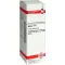ARNICA Dilution D4, 20 ml