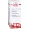 BERBERIS Dilution D3, 20 ml