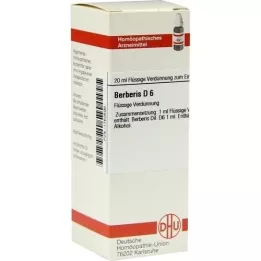 BERBERIS Dilution D6, 20 ml