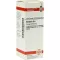 BERBERIS Dilution D6, 20 ml