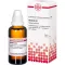 BERBERIS Dilution D4, 50 ml