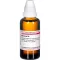 BERBERIS Dilution D4, 50 ml
