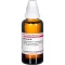 BERBERIS Dilution D6, 50 ml