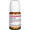 BERBERIS D 4 comprimés, 80 pc