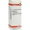 BRYONIA Dilution D4, 20 ml