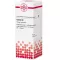 CACTUS Dilution D2, 20 ml