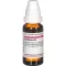 CANTHARIS Dilution D6, 20 ml