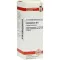 CHELIDONIUM Dilution D6, 20 ml