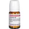 CINNABARIS D 6 comprimés, 80 pc