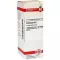 COLCHICUM Dilution D6, 20 ml