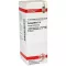 COLOCYNTHIS Dilution D4, 20 ml