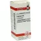 CONIUM D 4 globules, 10 g
