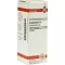 HAMAMELIS Dilution D2, 20 ml