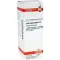 LUFFA OPERCULATA Dilution D6, 20 ml