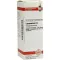 LYCOPODIUM Dilution D4, 20 ml