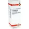 LYCOPODIUM Dilution D6, 20 ml