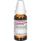 LYCOPODIUM Dilution D6, 20 ml