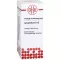 LYCOPODIUM Dilution D12, 20 ml