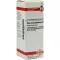 RHUS TOXICODENDRON Dilution D6, 20 ml
