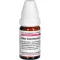 RHUS TOXICODENDRON D 6 globules, 10 g