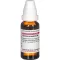 SECALE CORNUTUM Dilution D6, 20 ml