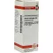 SECALE CORNUTUM Dilution D6, 20 ml