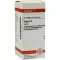 SEPIA D 4 comprimés, 80 pc