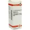 SPIGELIA Dilution D4, 20 ml