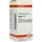 SPONGIA D 6 comprimés, 80 pc