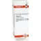 THUJA Dilution D4, 20 ml