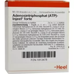 ATP Ampoules Injeel Forte, 10 pc