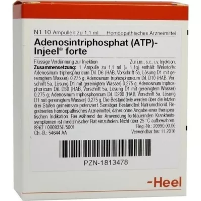 ATP Ampoules Injeel Forte, 10 pc
