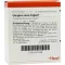 GINGIVA SUIS Ampoules Injeel, 10 pc