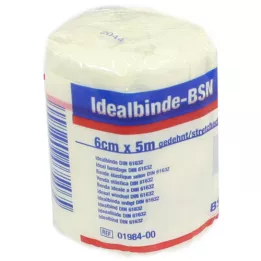 IDEALBINDE bmp 6 cm x 5 m, 1 pièce