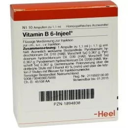 VITAMIN B6 INJEEL Ampoules, 10 pc