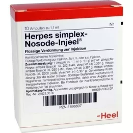 HERPES SIMPLEX Ampoules Nosode Injeel, 10 pc