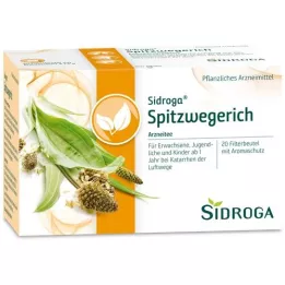 SIDROGA Sachets filtre à thé plantain lancéolé, 20X1,4 g