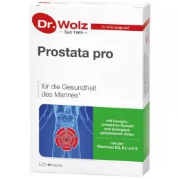 PROSTATA PRO Capsules Dr. Wolz, 2x20 pc
